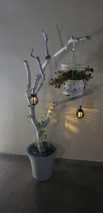 E&G Relax Homes-E Kissamos Luaran gambar